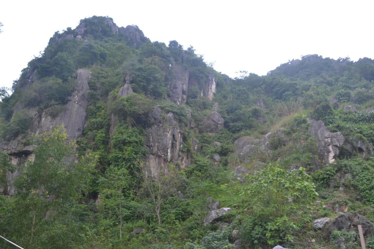 Phong Nha Homestay Exteriér fotografie